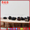 Excelente produto preto goji berry benefícios goji black berry chá preto goji sementes manter uma figura esguia